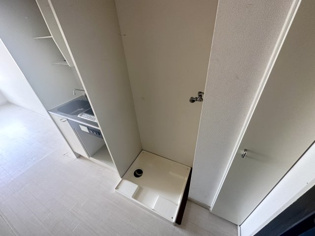 ステラパレスのその他