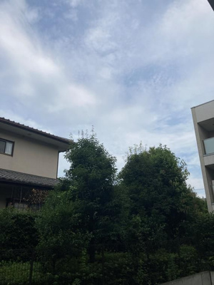 【展望】 | パークハウス杉並高井戸-2029年6月30日迄-