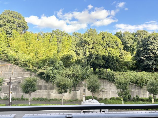 【物件からの展望】