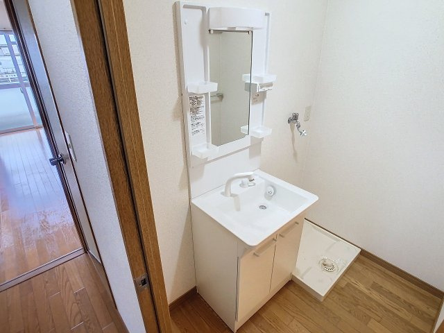 コーポライムグリーンの洗面所