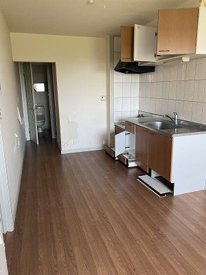 【キッチン】 | ブロッサム・M