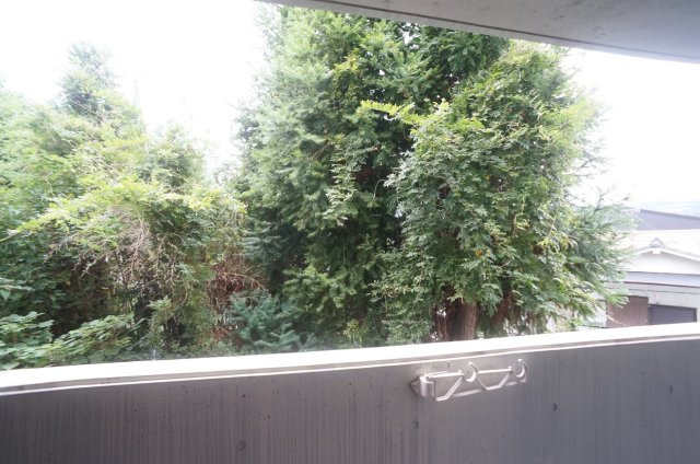 パラッツオ五反田の展望