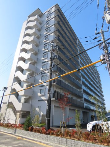 スプランディッドⅦ