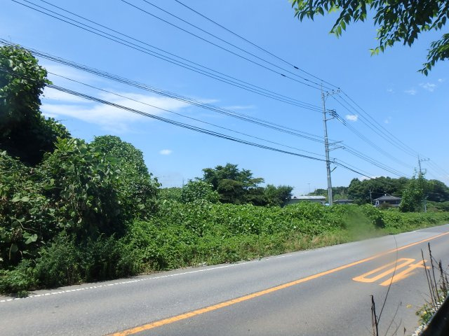 海老ヶ島土地（約517坪）