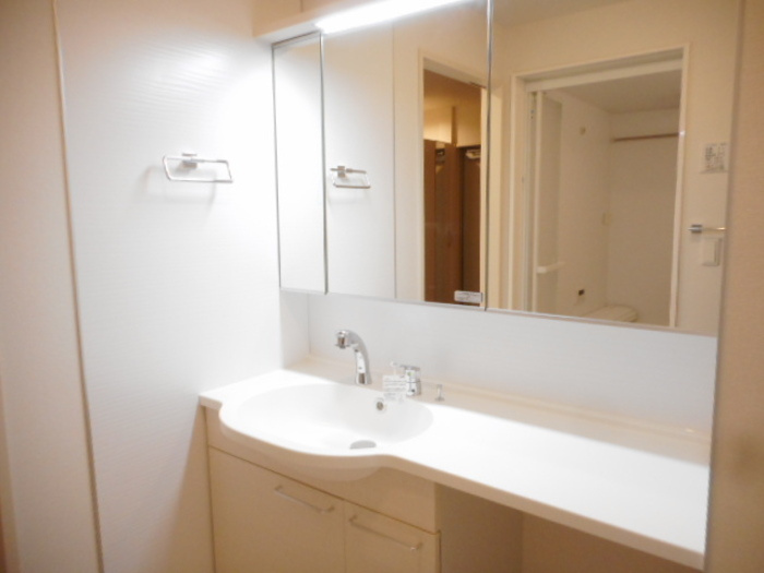 テラス市川高谷の洗面所