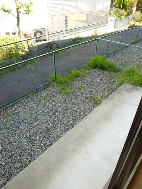 シャルムK&Nの庭