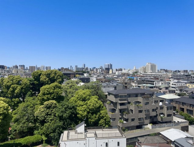 【展望】