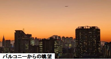 【展望】