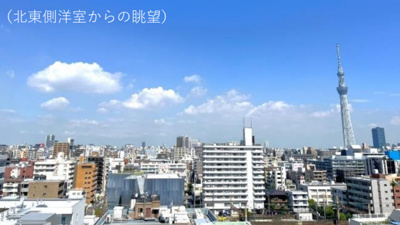 【展望】 | 両国アムフラットⅡ | 北東側洋室からの眺望