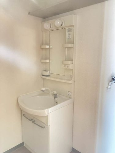 サンライズ健美の洗面所