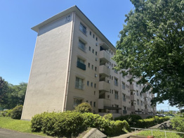 柏町住宅10号棟の画像