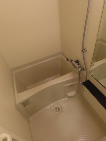 ファステートOSAKAシティゲートの浴室