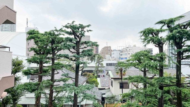 麻布第2コーポの展望