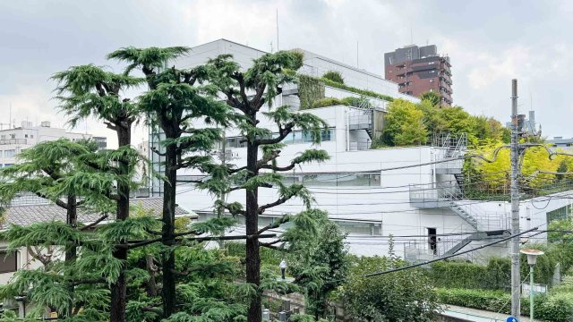 麻布第2コーポの展望