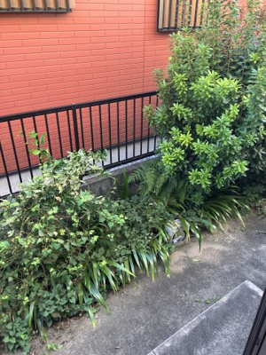 【庭】 | エーデルハイム小平 | テラス