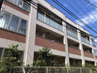 サクラスの画像