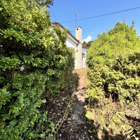 室蘭市本輪西町2丁目6-16戸建の庭