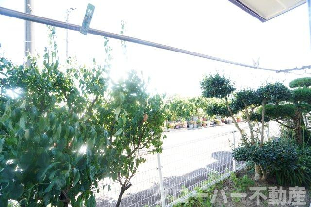 ハイツ林野Sの展望