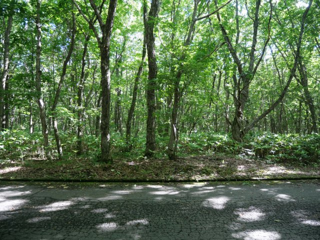 羽鳥湖平和郷別荘地③