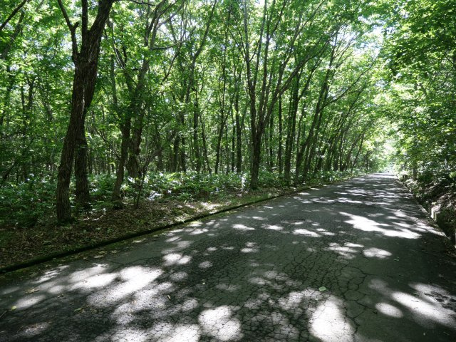 羽鳥湖平和郷別荘地③の前面道路含む現地写真