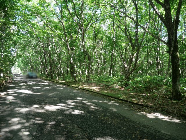 羽鳥湖平和郷別荘地③の前面道路含む現地写真