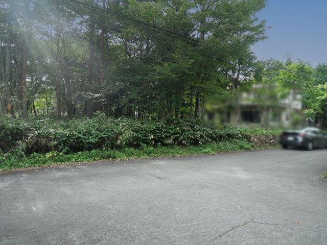 羽鳥湖平和郷別荘地①の前面道路含む現地写真