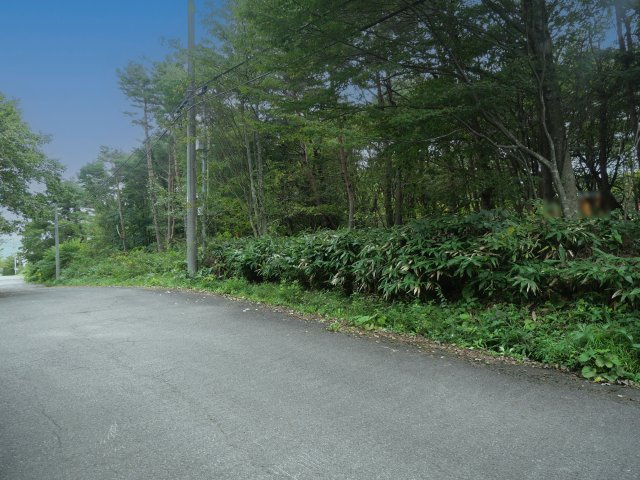 羽鳥湖平和郷別荘地①の前面道路含む現地写真