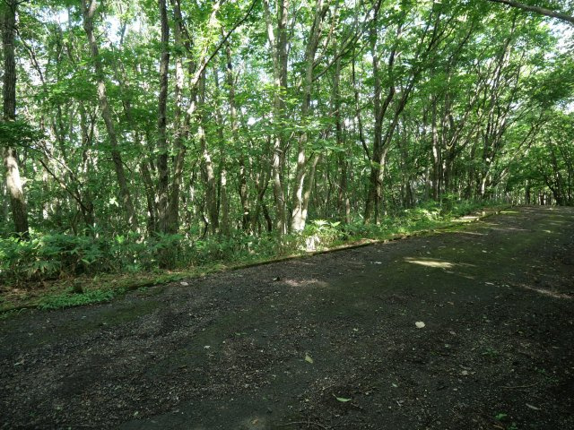 羽鳥湖平和郷別荘地④の外観