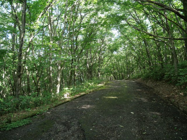 羽鳥湖平和郷別荘地④の前面道路含む現地写真