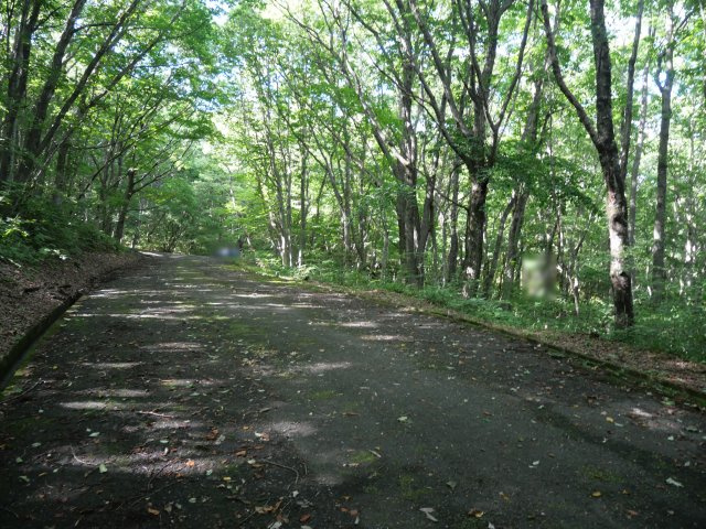 羽鳥湖平和郷別荘地④の前面道路含む現地写真