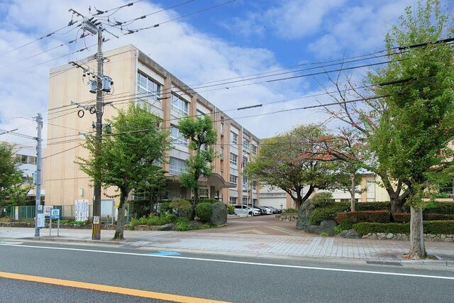 久留米市日ノ出町の周辺|城南中学校まで560m 