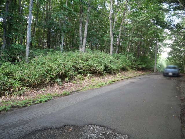 羽鳥湖平和郷別荘地⑤の前面道路含む現地写真