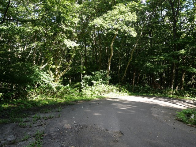 羽鳥湖平和郷別荘地⑥の前面道路含む現地写真