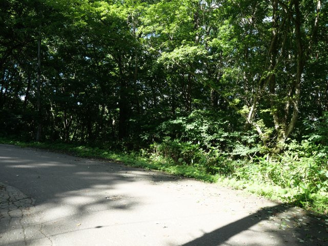 羽鳥湖平和郷別荘地⑥の前面道路含む現地写真