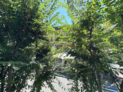 【展望】 | BOSCO