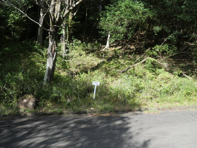 エンゼルフォレスト伊豆スカイライン①