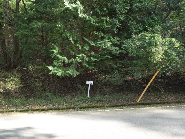 エンゼルフォレスト伊豆スカイライン②