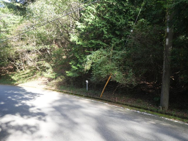 エンゼルフォレスト伊豆スカイライン②の前面道路含む現地写真