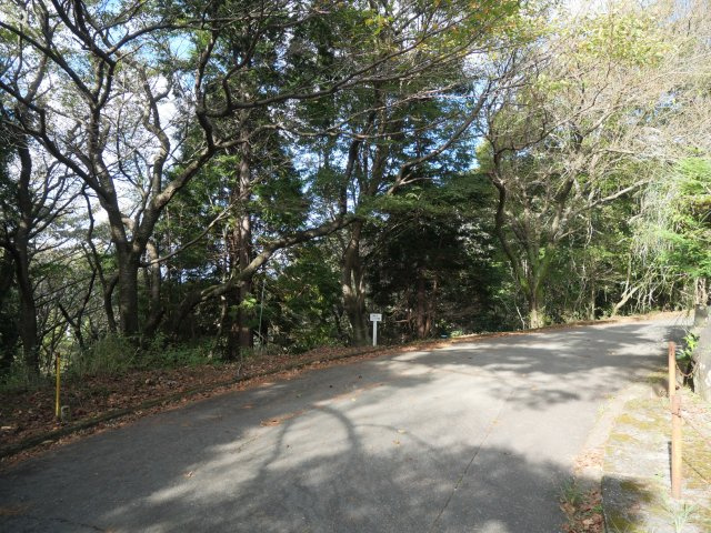 エンゼルフォレスト伊豆スカイライン④の前面道路含む現地写真