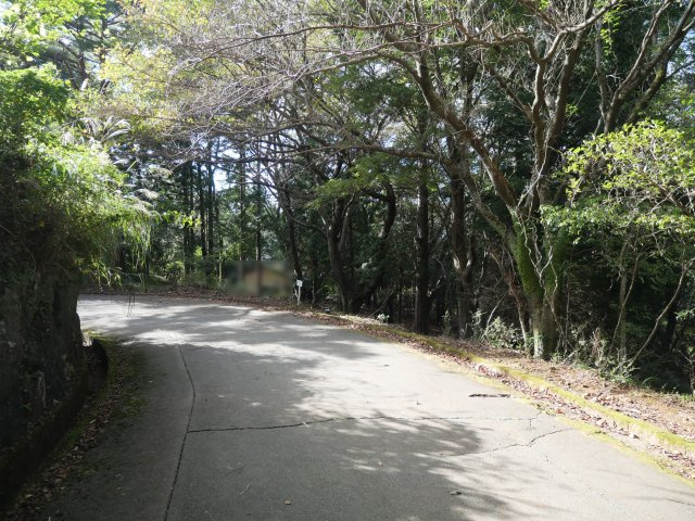 エンゼルフォレスト伊豆スカイライン④の前面道路含む現地写真