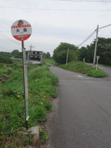 パストラールファイブの周辺|「大島」バス停留所 0.3km