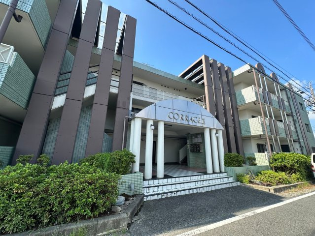 豊田市東新町４丁目の賃貸マンションのエントランス