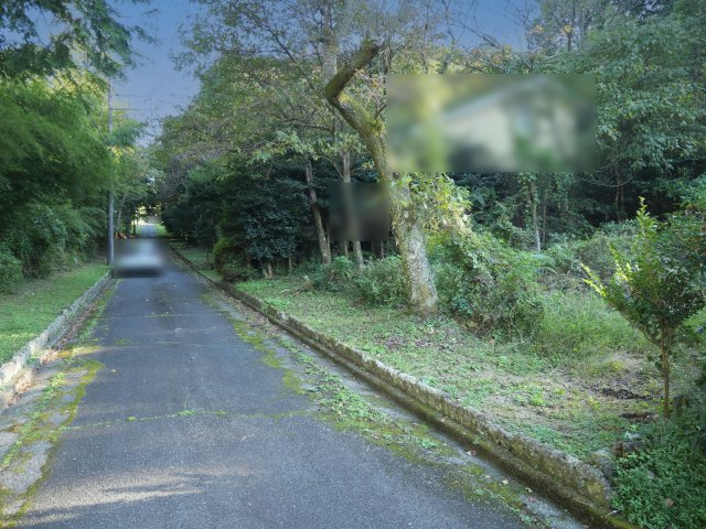 中伊豆スカイランド①の前面道路含む現地写真