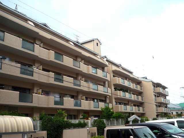 ライフプラザ白萩（D-4）の外観
