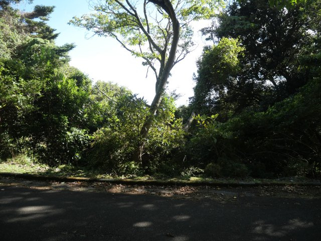 エンゼルフォレスト伊豆赤沢③温泉権利付き