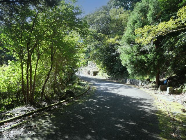 エンゼルフォレスト伊豆赤沢③温泉権利付きの前面道路含む現地写真