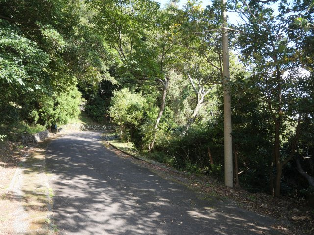 エンゼルフォレスト伊豆赤沢③温泉権利付きの前面道路含む現地写真