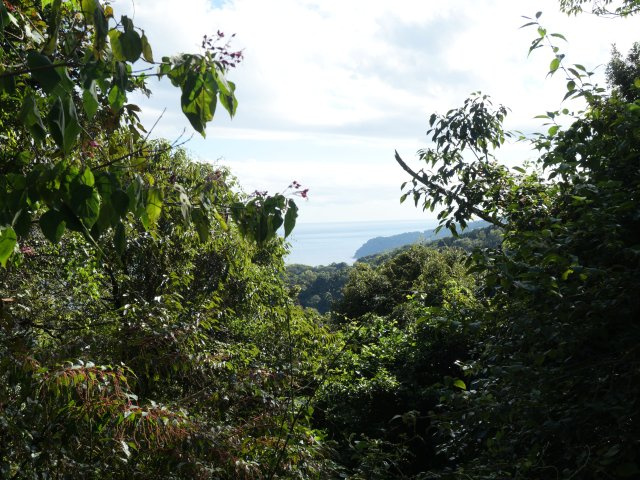 エンゼルフォレスト伊豆赤沢③温泉権利付きのその他|眺望