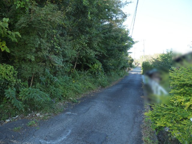 伊豆大室高原別荘地①の前面道路含む現地写真