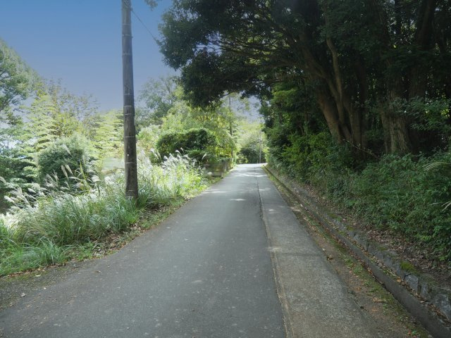 エンゼルフォレスト伊豆熱川③の前面道路含む現地写真